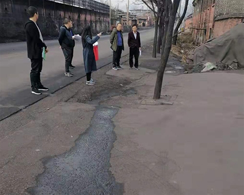 縣委、鎮(zhèn)府領導驗收工程